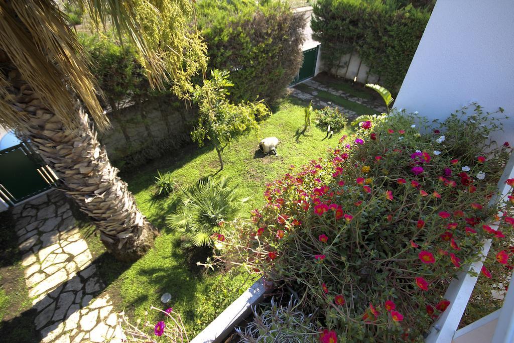 B&B Villa Genny A Pochi Passi Dal Mare San Cataldo  Room photo