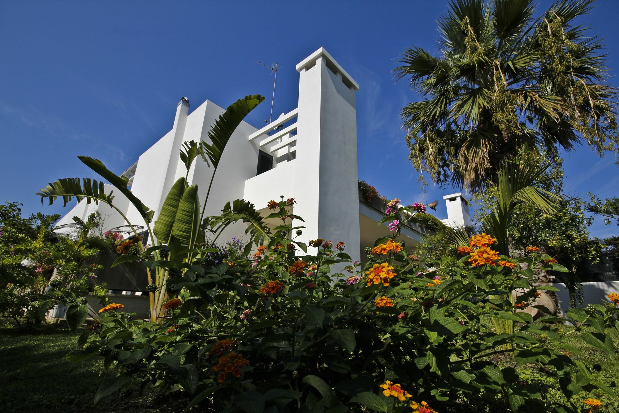B&B Villa Genny A Pochi Passi Dal Mare San Cataldo  Exterior photo